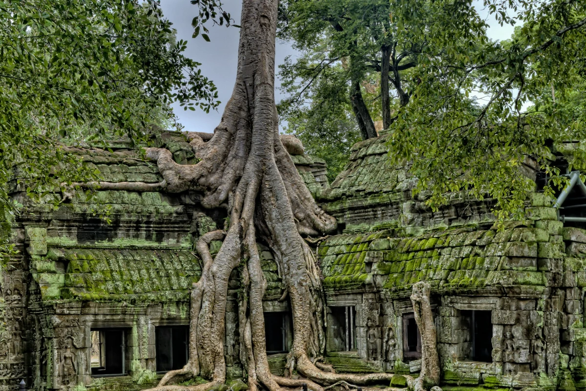 Colores de Camboya